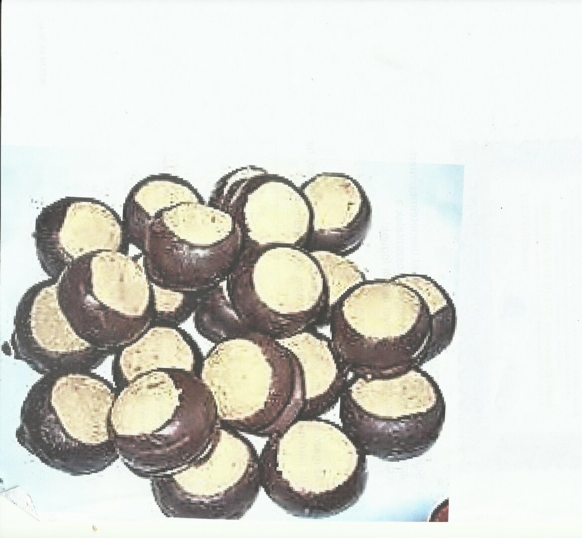 Vadgesztenye