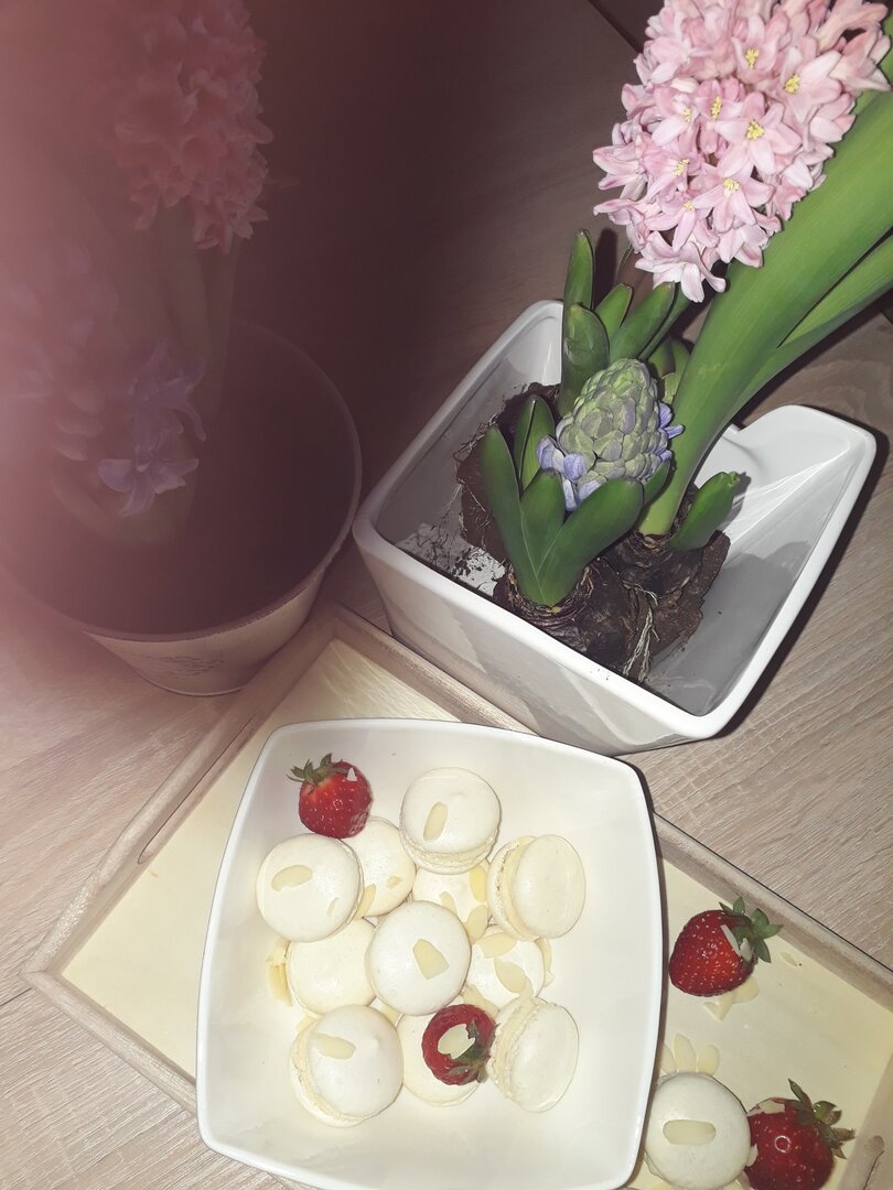 Macaron