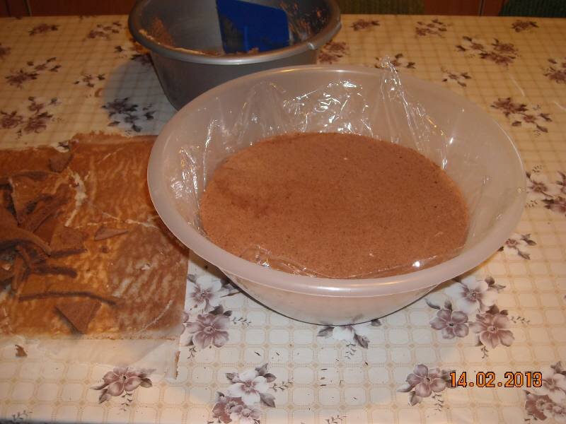 Focilabda torta