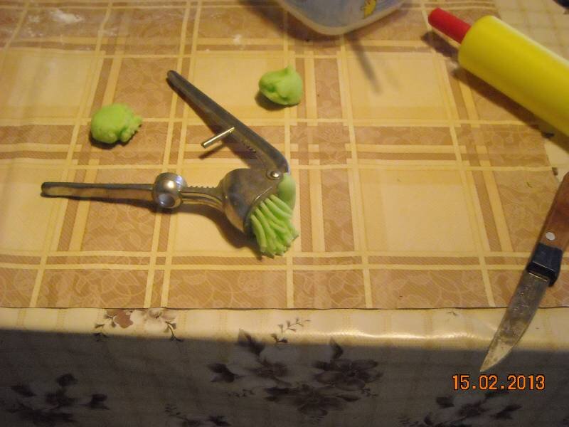 Focilabda torta