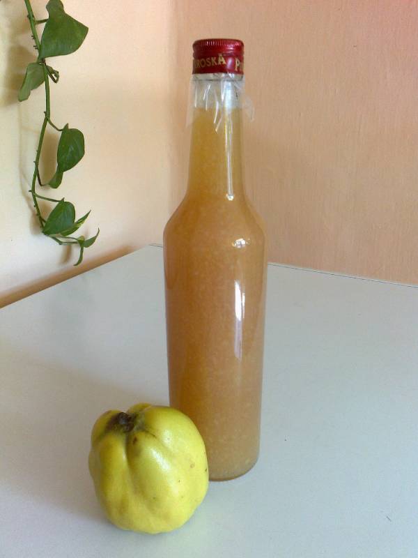 Birsalma ivólé